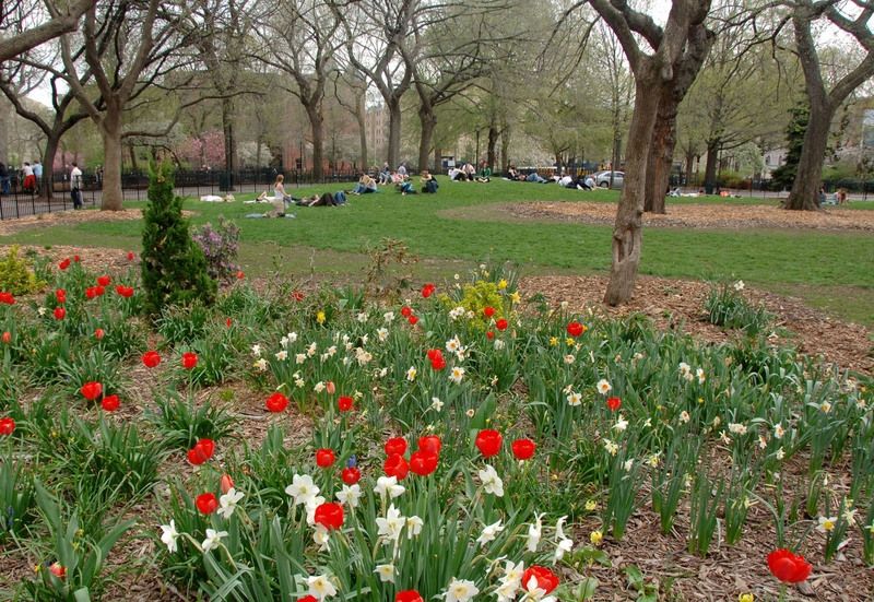 Tompkins Square Park Highlights Nyc Parks