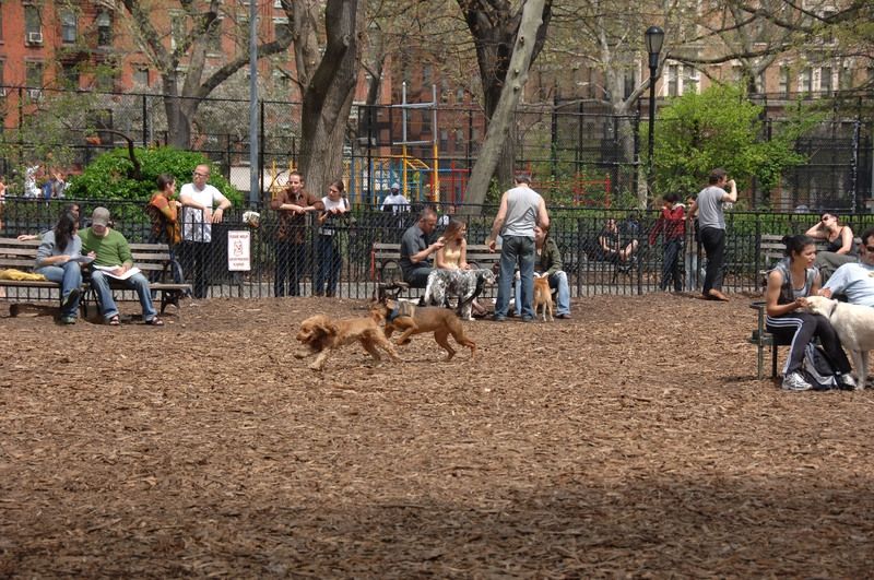 Tompkins Square Park Highlights Nyc Parks