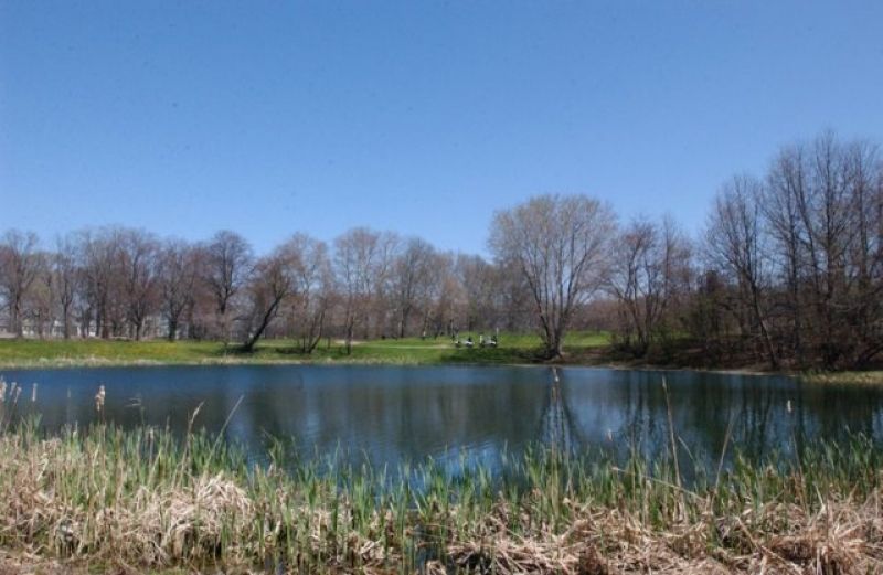Forest Park NYC Parks