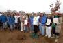 MillionTreesNYC planting in Kissena Corridor Park