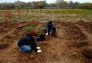 MillionTreesNYC planting in Kissena Corridor Park
