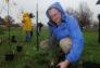 Parks First Deputy Commissioner Liam Kavanagh plants a tree