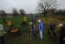 MillionTreesNYC planting with New York Knicks players at Pelham Parkway