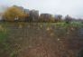 MillionTreesNYC planting with New York Knicks players at Pelham Parkway