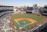 The New Yankee Stadium Bronx, New York