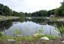 Restored Indian Lake
