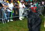 Michael Jackson 51st Birthday Party