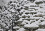 Riverside Park Snow Day
