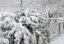 Riverside Park Snow Day