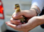 Duckling Speaks