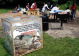 Prospect Park Memorial Weekend Barbecue