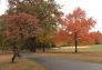 Fall in Parks