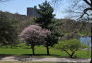 Spring at Silver Lake Park