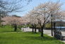 Spring at Silver Lake Park