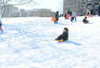 Snow Day at Crotona Park