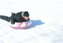 Snow Day at Crotona Park