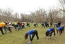 NY Knicks Trees Planting