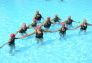 Senior Swim Kick-off 2012