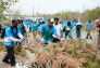 Jamiaca Bay/Rockaway Parks Resotration Corps