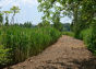 Pat Dolan Trail