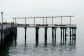 Steeplechase Pier