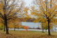 Fall Foliage in NYC Parks