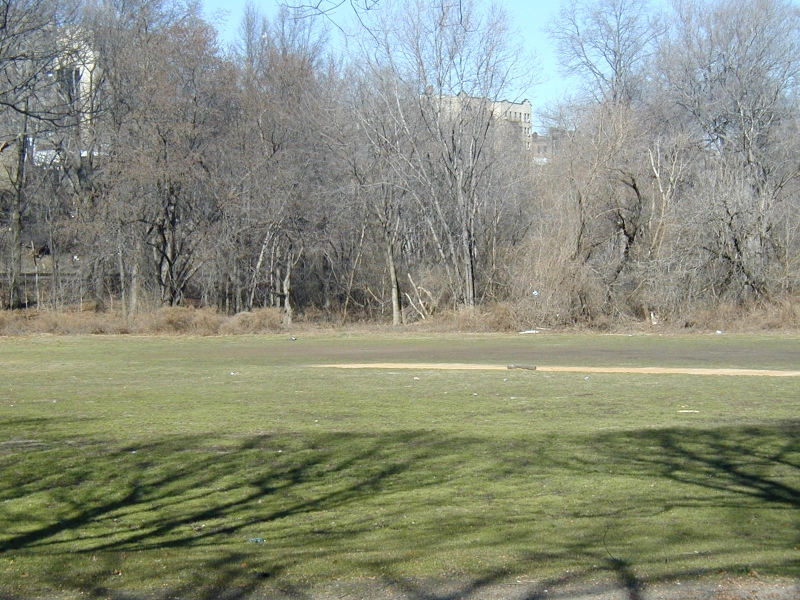 Parkland Section Wetlands of the Bronx River Watershed NYC Parks