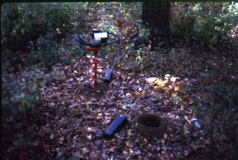 Natural Resources Group Forest Restoration Team NYC Parks
