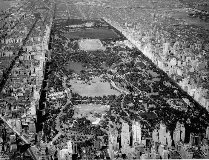 Olmsted Designed Parks Nyc Parks