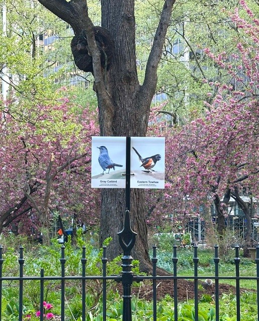Art in the Parks Current Exhibitions : New York City Department of Parks &  Recreation : NYC Parks